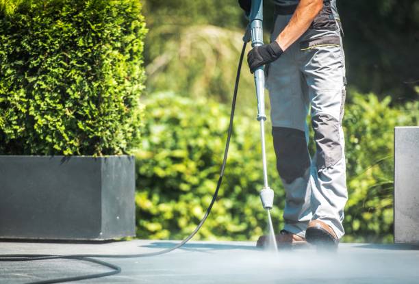Best Parking Lot and Garage Cleaning  in Lakewood, IL